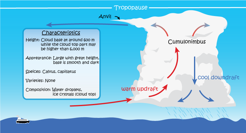 Schematics Diagram of Cumulonimbus