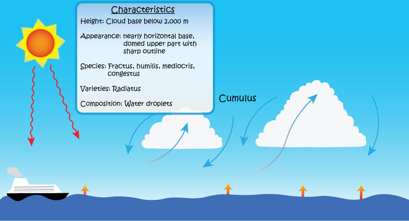 Schematics Diagram of Cumulus
