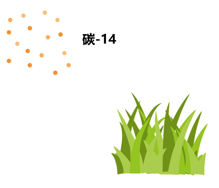 植物吸收